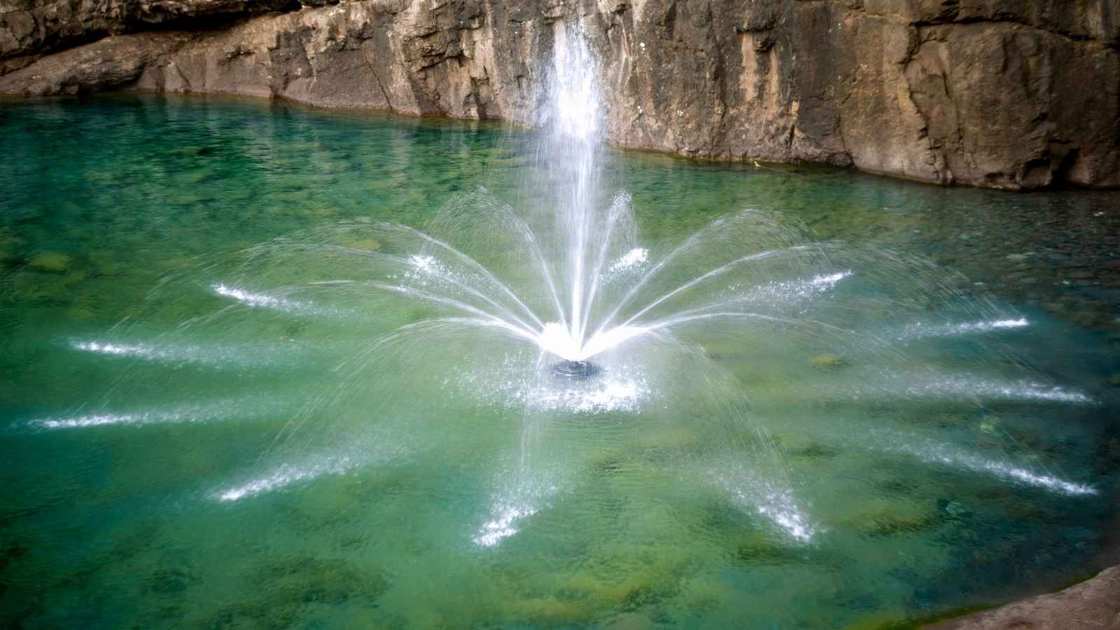 Water bodies and circulation systems